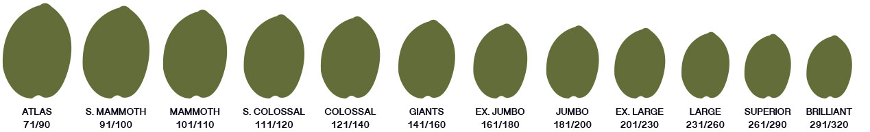 Μεγέθη (Πράσινες Ελιές Χαλκιδικής Π.Ο.Π. - Βιολογικές - Τσακιστές - Δαμασκηνοελιές)